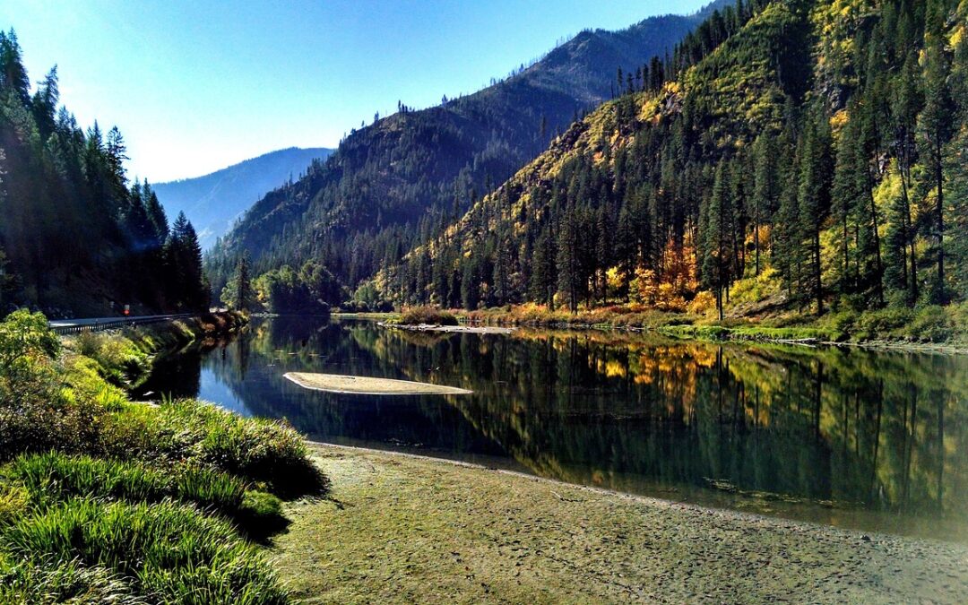 NCW Roofing Services From Wenatchee Roofing